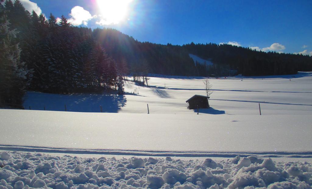 Griesbachhof-Wilder Kaiser Oberndorf en Tyrol Extérieur photo